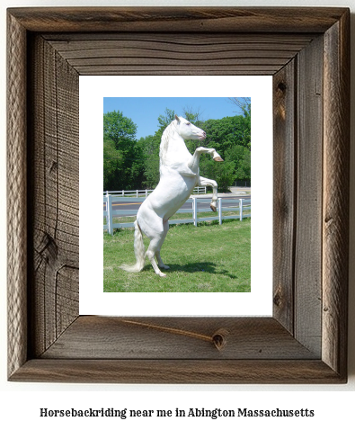 horseback riding near me in Abington, Massachusetts